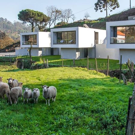 Viana Do Castelo - Amonde Village - Casa L - Disfrute Da Natureza Ngoại thất bức ảnh