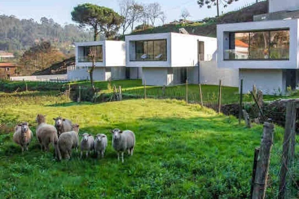 Viana Do Castelo - Amonde Village - Casa L - Disfrute Da Natureza Ngoại thất bức ảnh