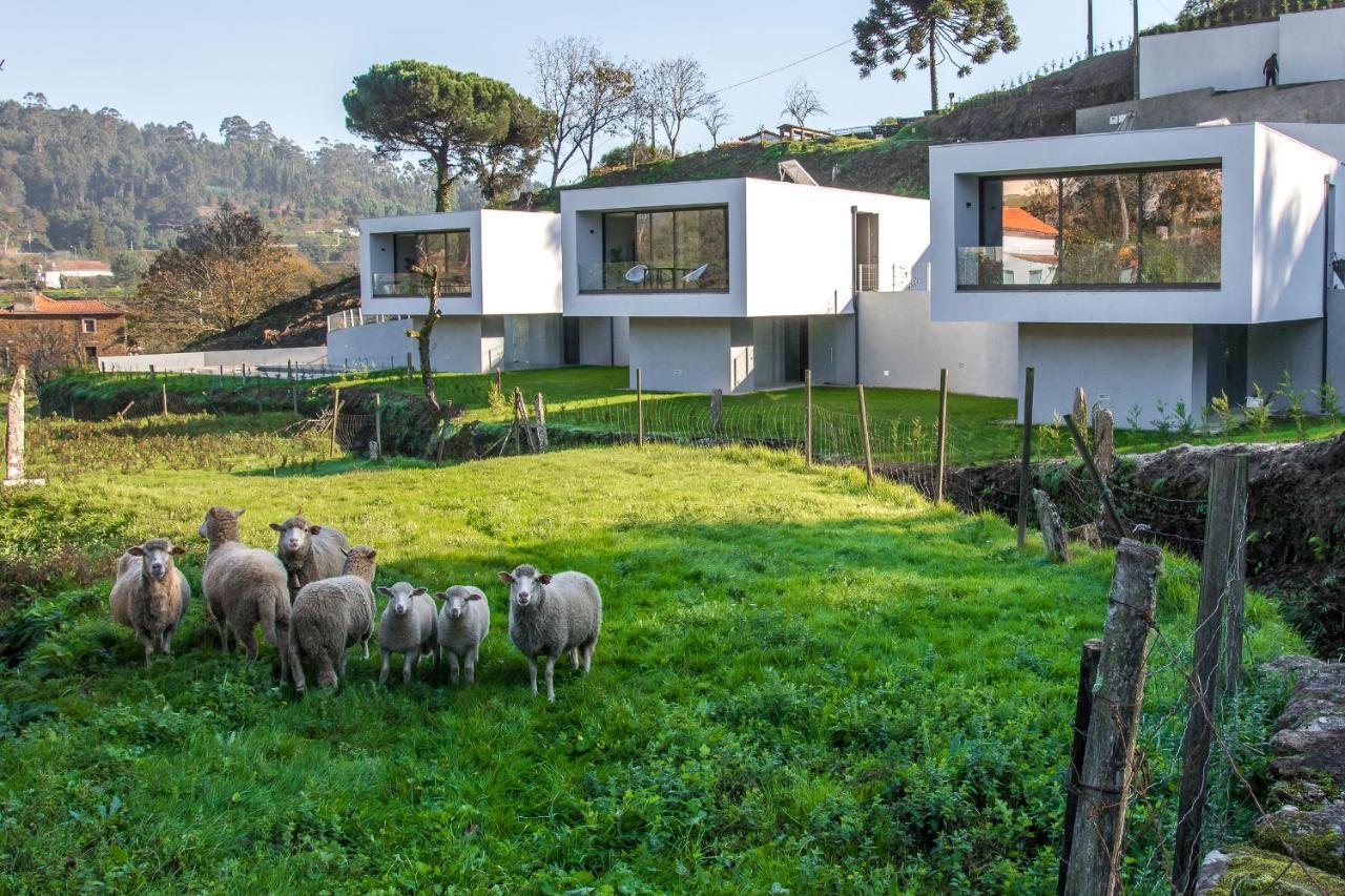 Viana Do Castelo - Amonde Village - Casa L - Disfrute Da Natureza Ngoại thất bức ảnh